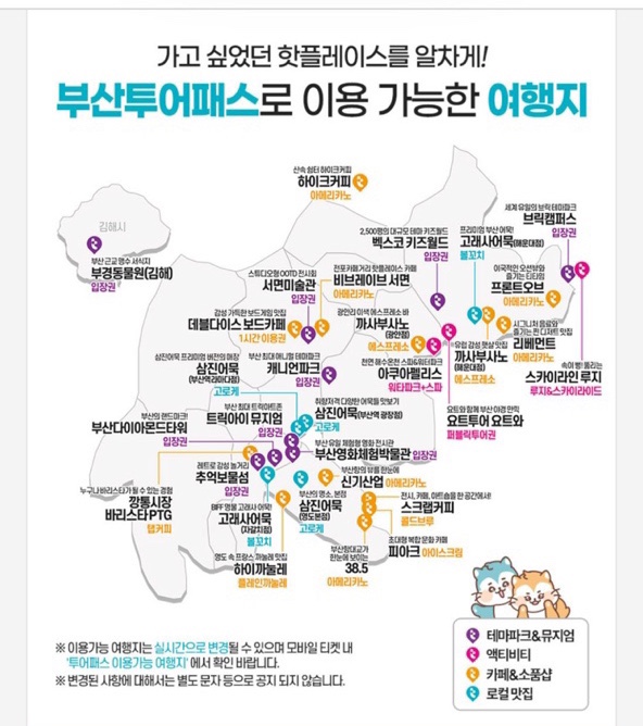스카이라인투어 이미지