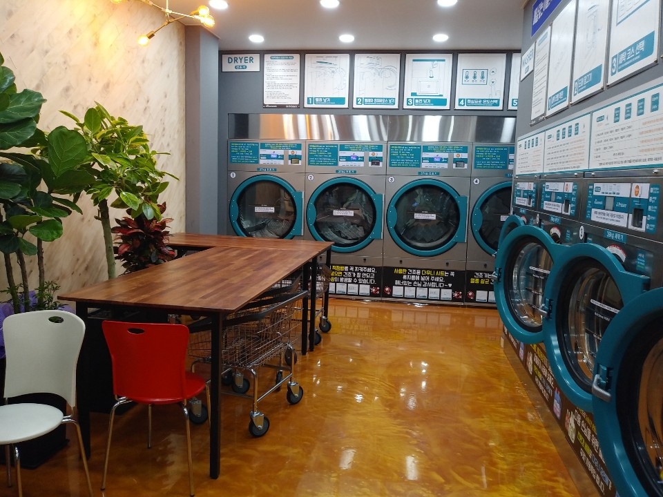 아쿠아운동화빨래방 이미지