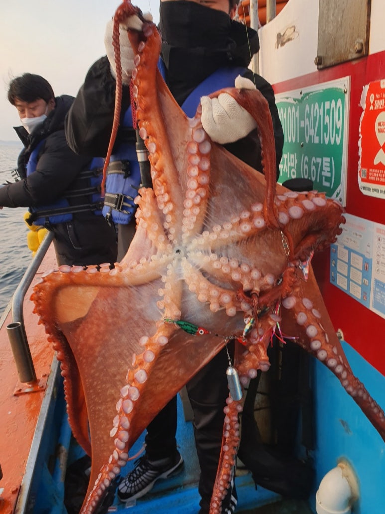 동해호 이미지