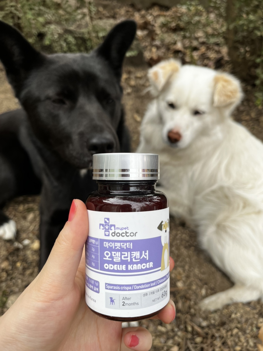엘로이유통 이미지