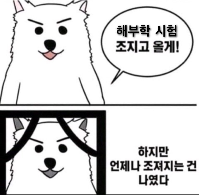 영쓰 이미지