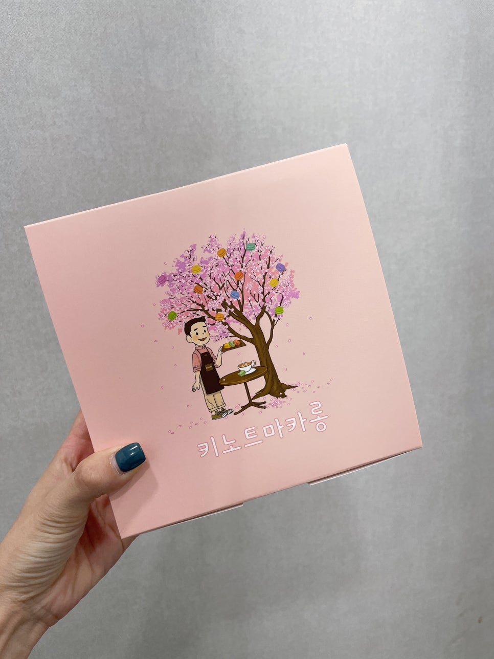 키노트마카롱 이미지