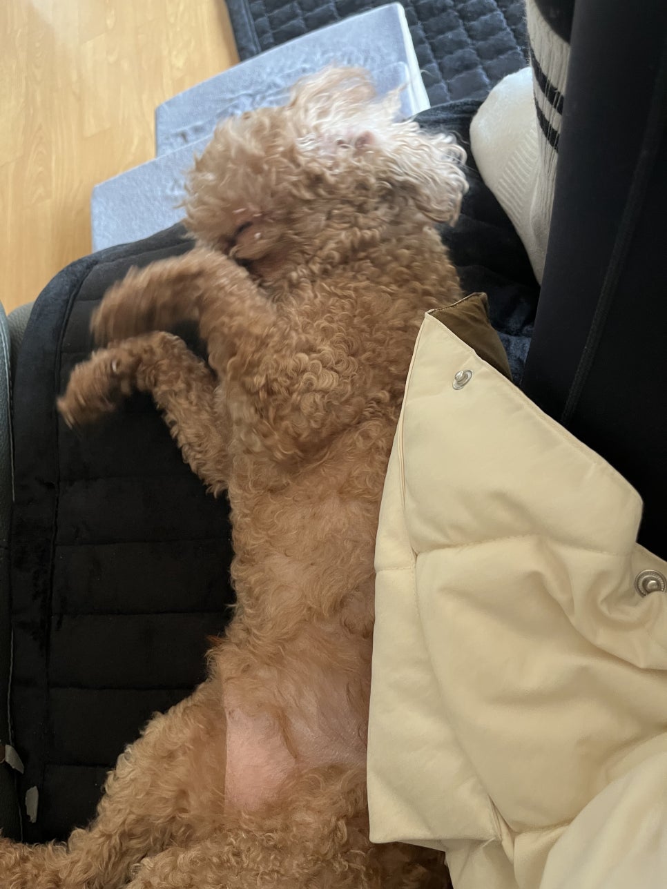발렌타인 PC방 이미지