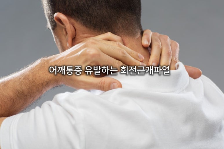 성모가정의원 이미지