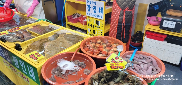 광인네 이미지