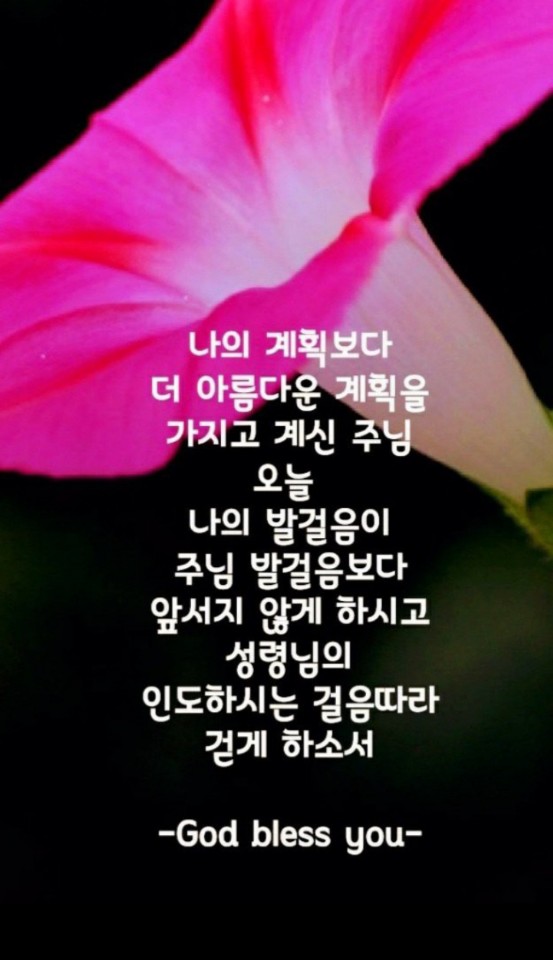 바울복사 이미지