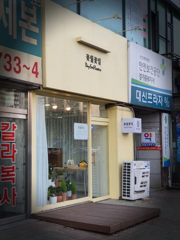 꽃월꽃일 이미지