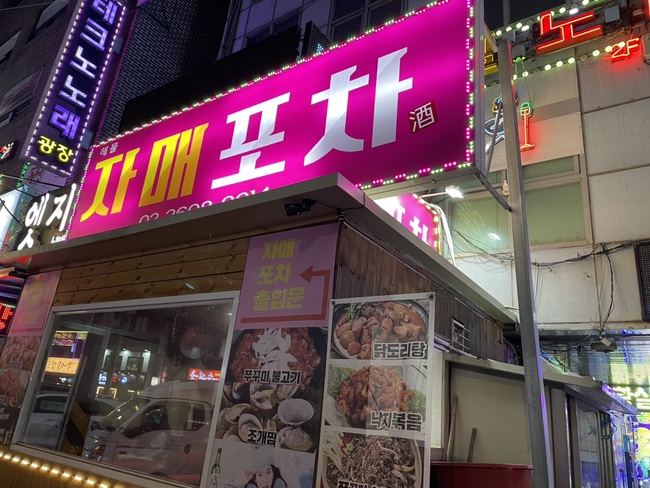 자매전집 이미지