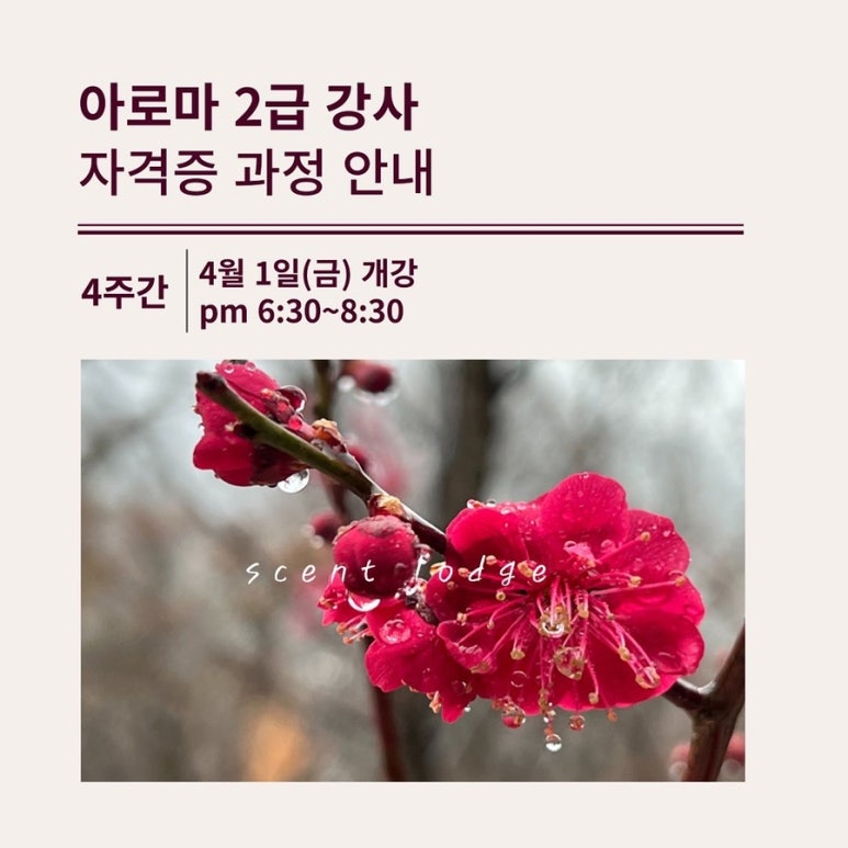 센트롯지 이미지