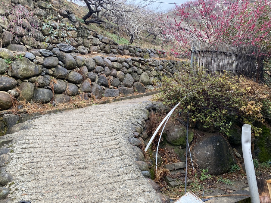 청포농원 이미지