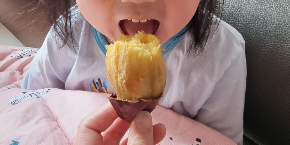 진영팜 이미지