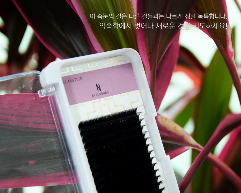 티지인터내셔널 이미지