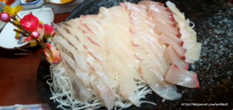 한림포차2 이미지