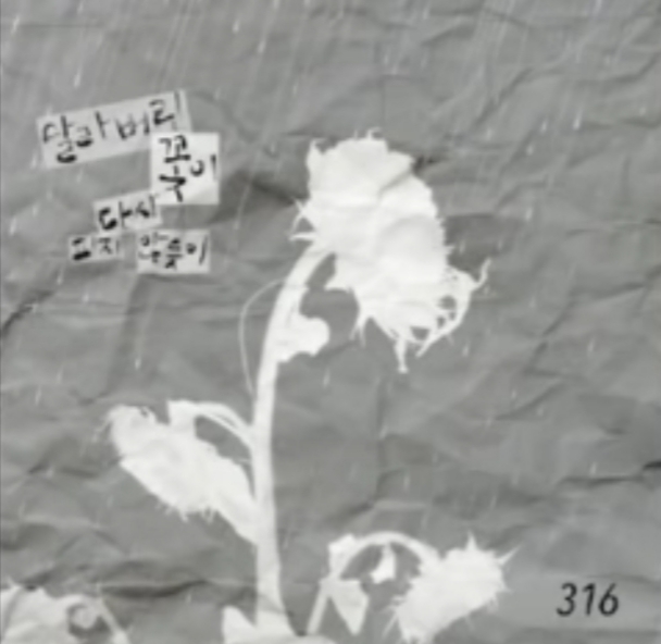 아티스트316 이미지