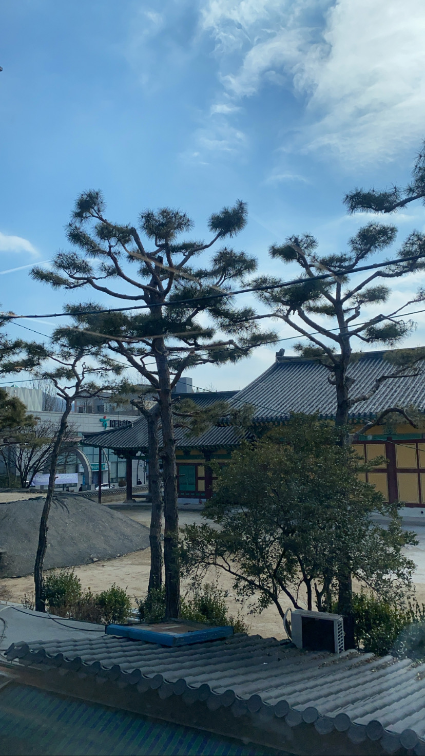 라쿵푸전주점 이미지