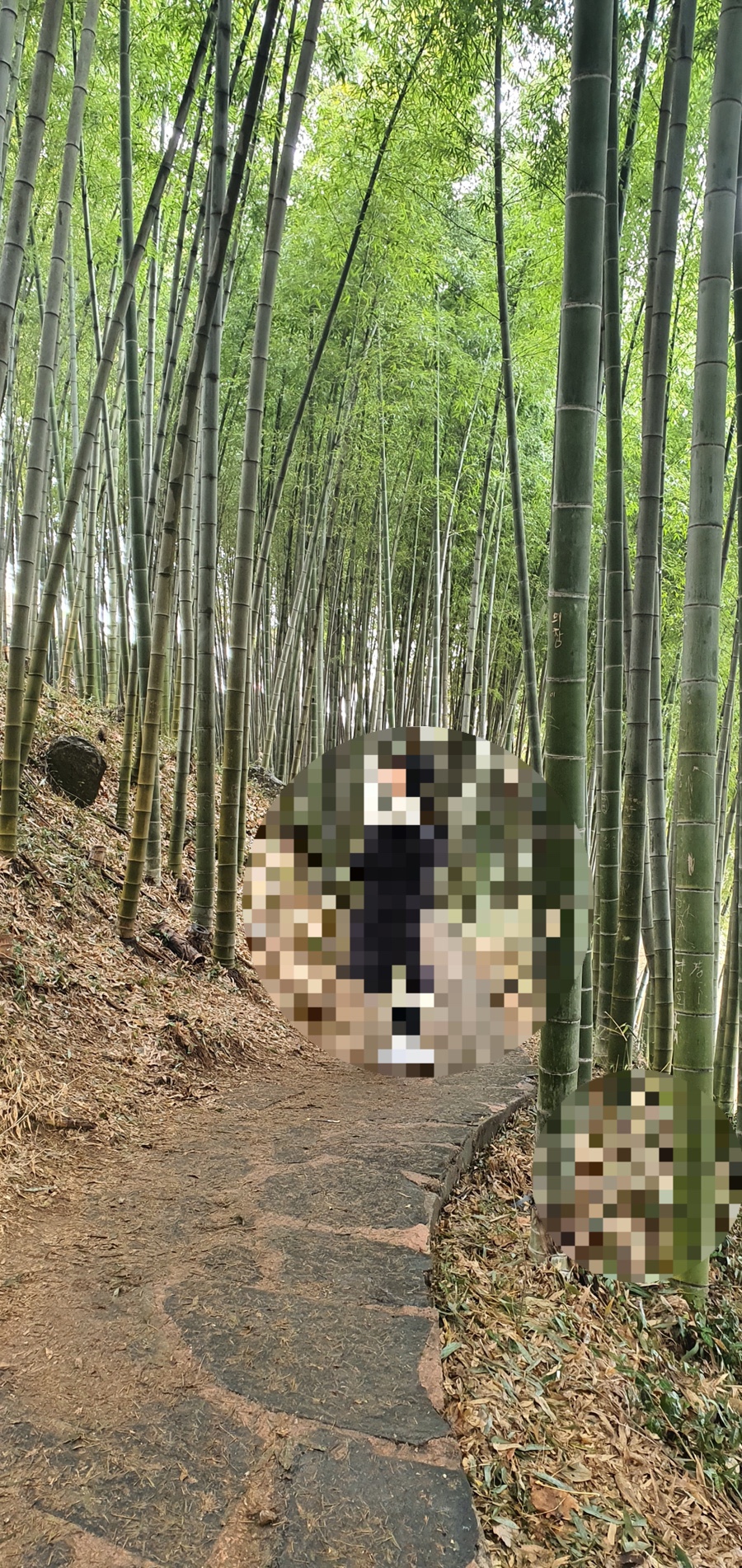 청포농원 이미지