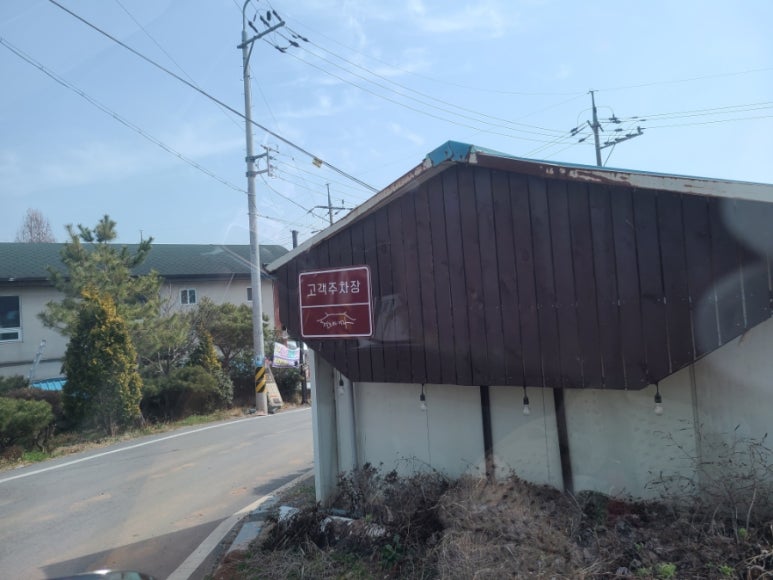 철호와미자 이미지