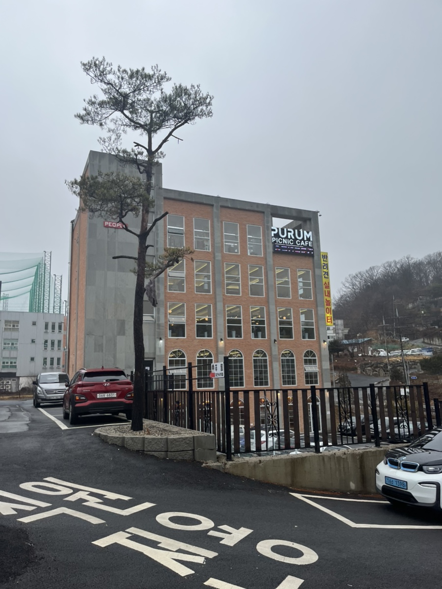 푸름피크닉 이미지