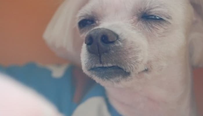 깔깔깔 이미지