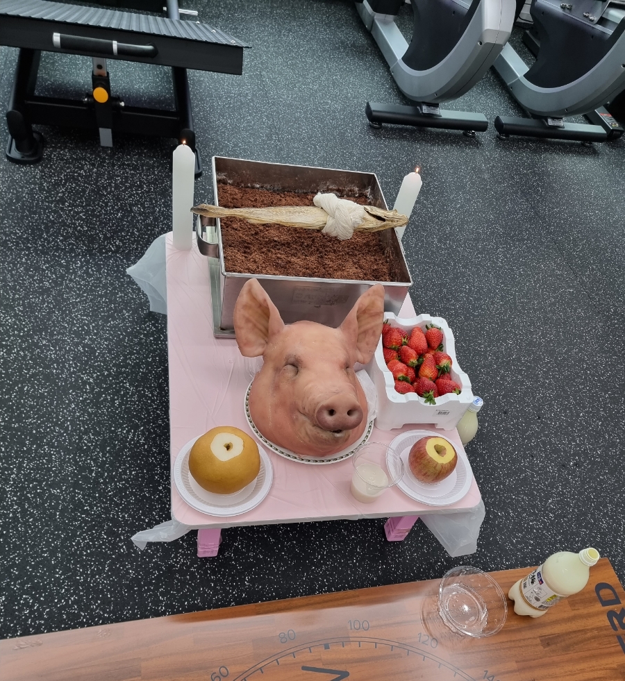 바른피티 이미지
