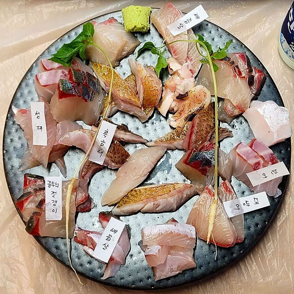 바다마차 이미지
