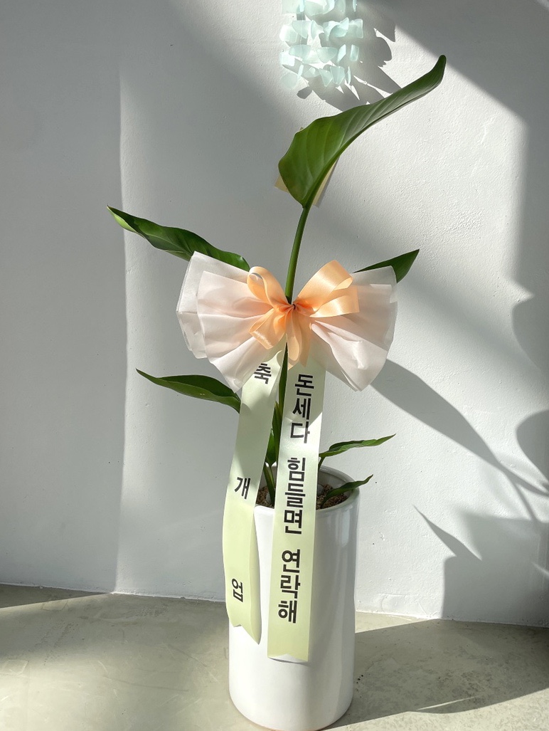 네일플레리 이미지