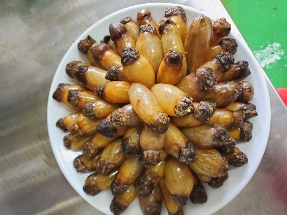 육해공 농수산 이미지