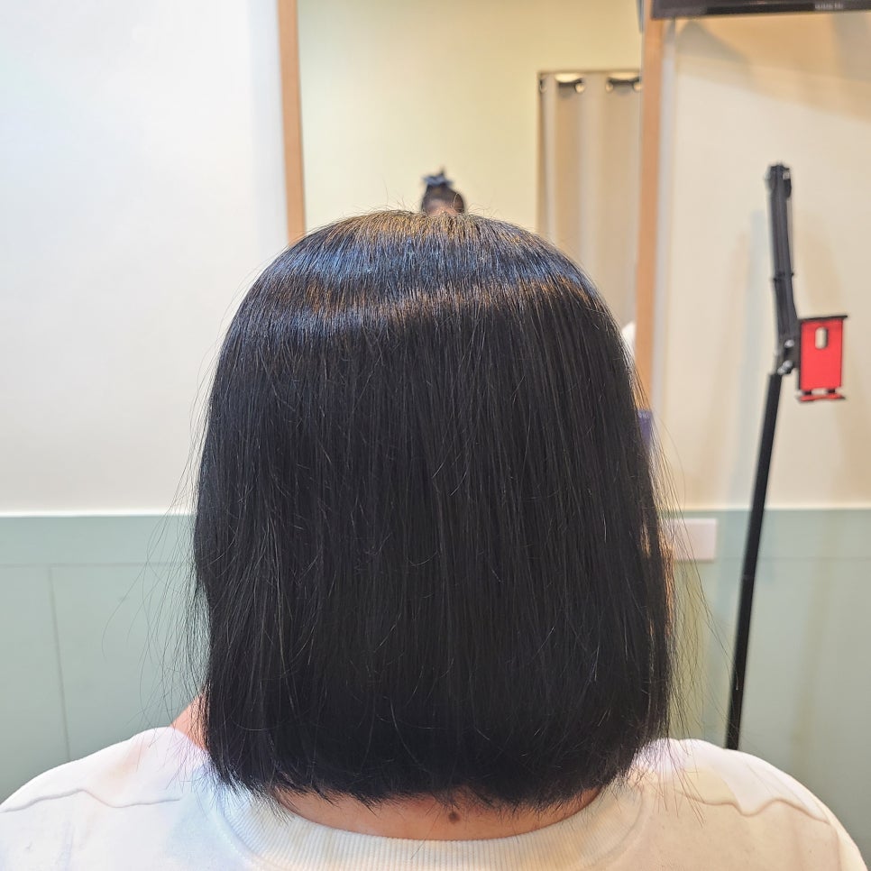 마이크로헤어증모 이미지