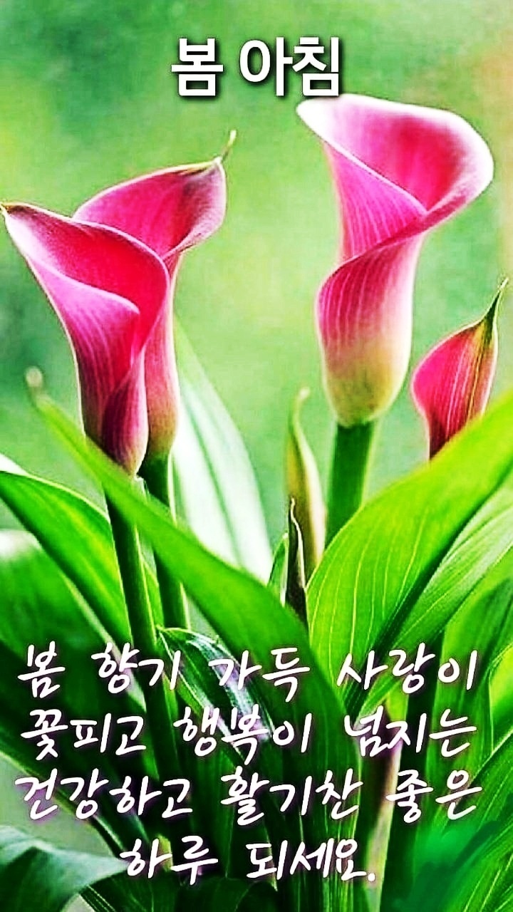 구름에달가듯이 이미지