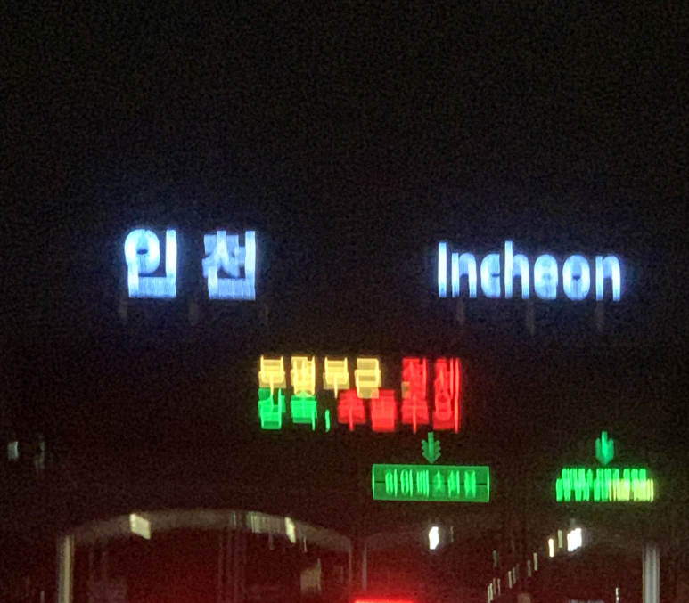 청개구리마미 이미지