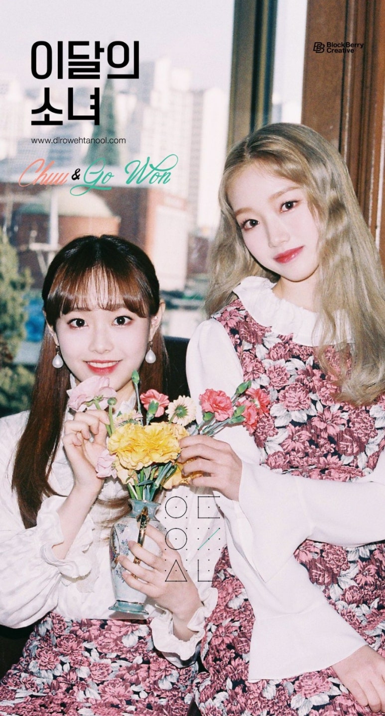 고원 이미지