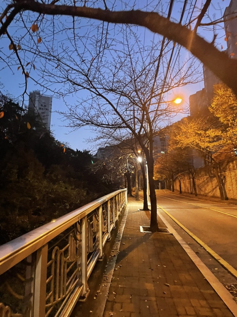 오말(OMAR) 이미지