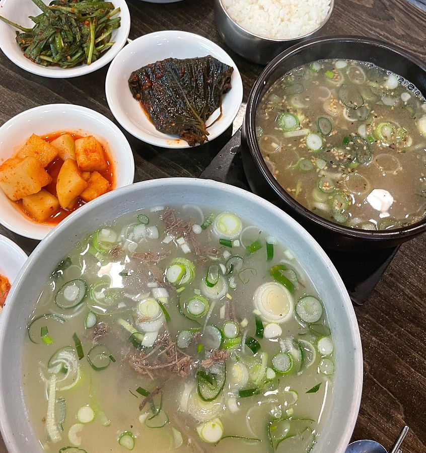 능동국시 이미지