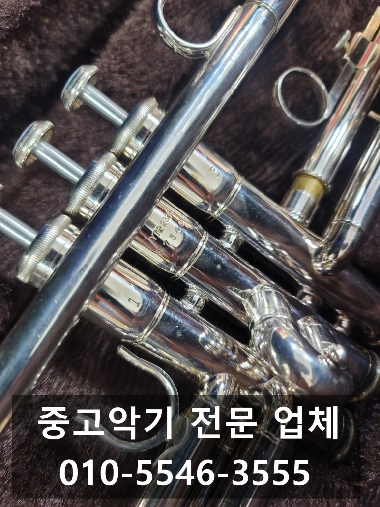 바하악기 이미지