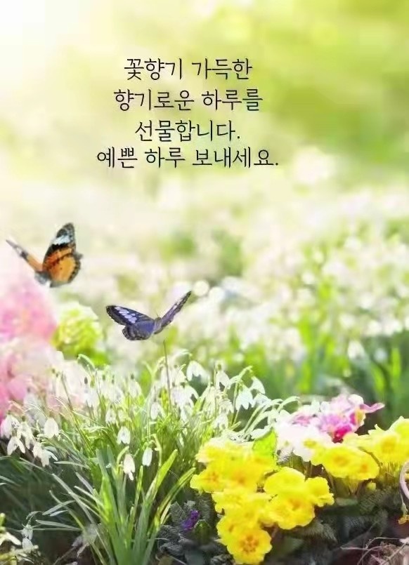 커피(coffee)하우스 이미지