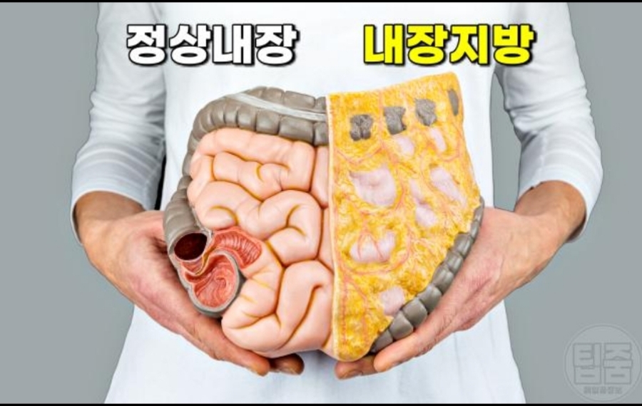 소나무한의원 이미지
