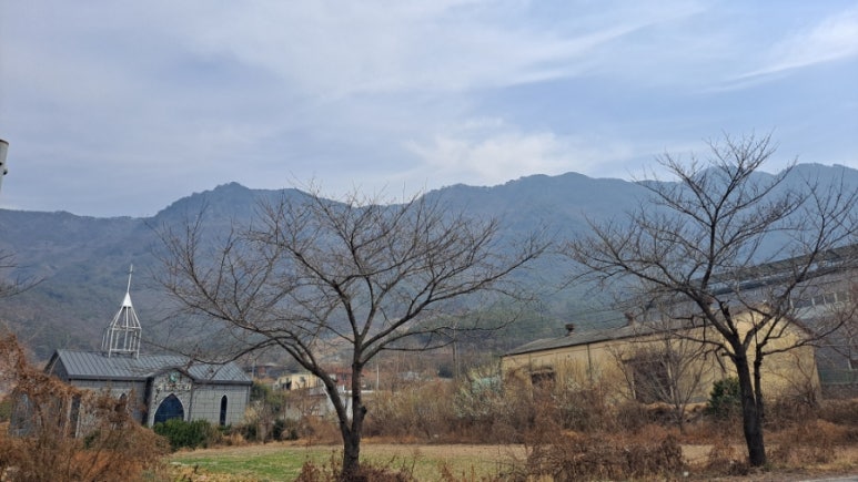 무척사랑한우 이미지