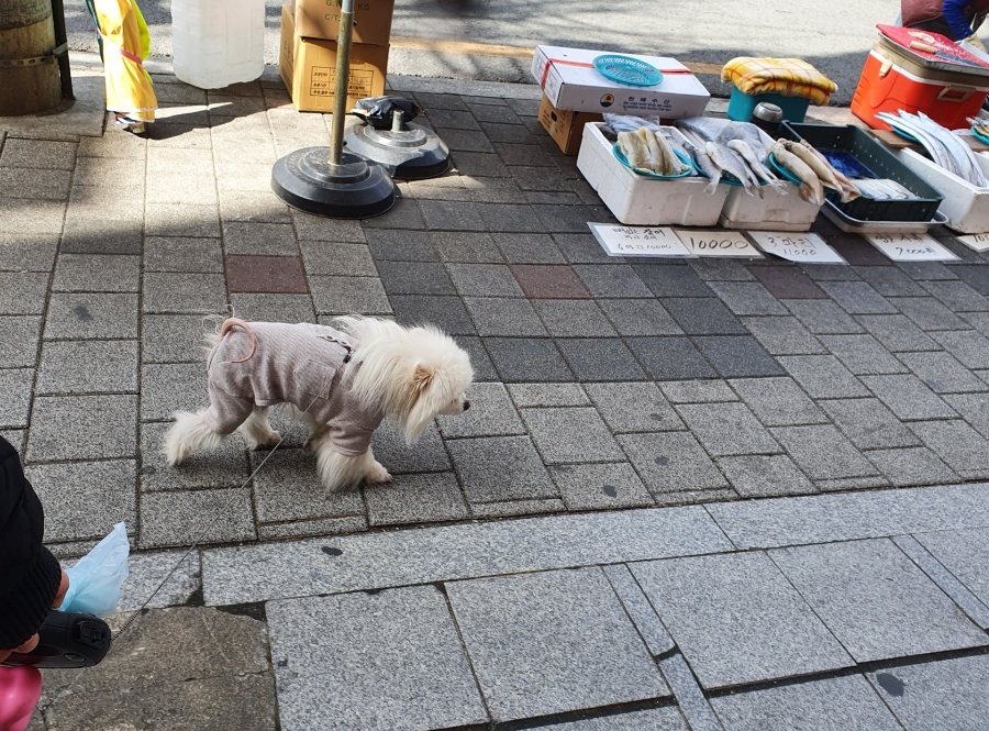 대백마트네오시티점 이미지