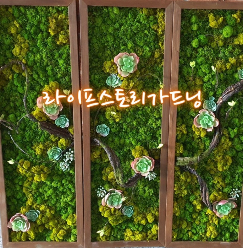 라이프 스토리 가드닝 이미지