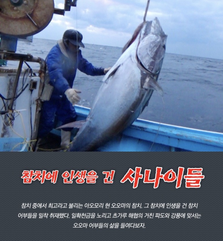 인생참치 이미지