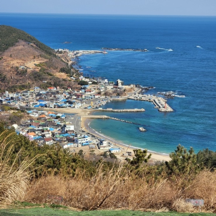차차차투어 이미지