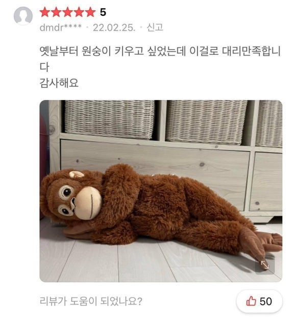 인형어때 이미지