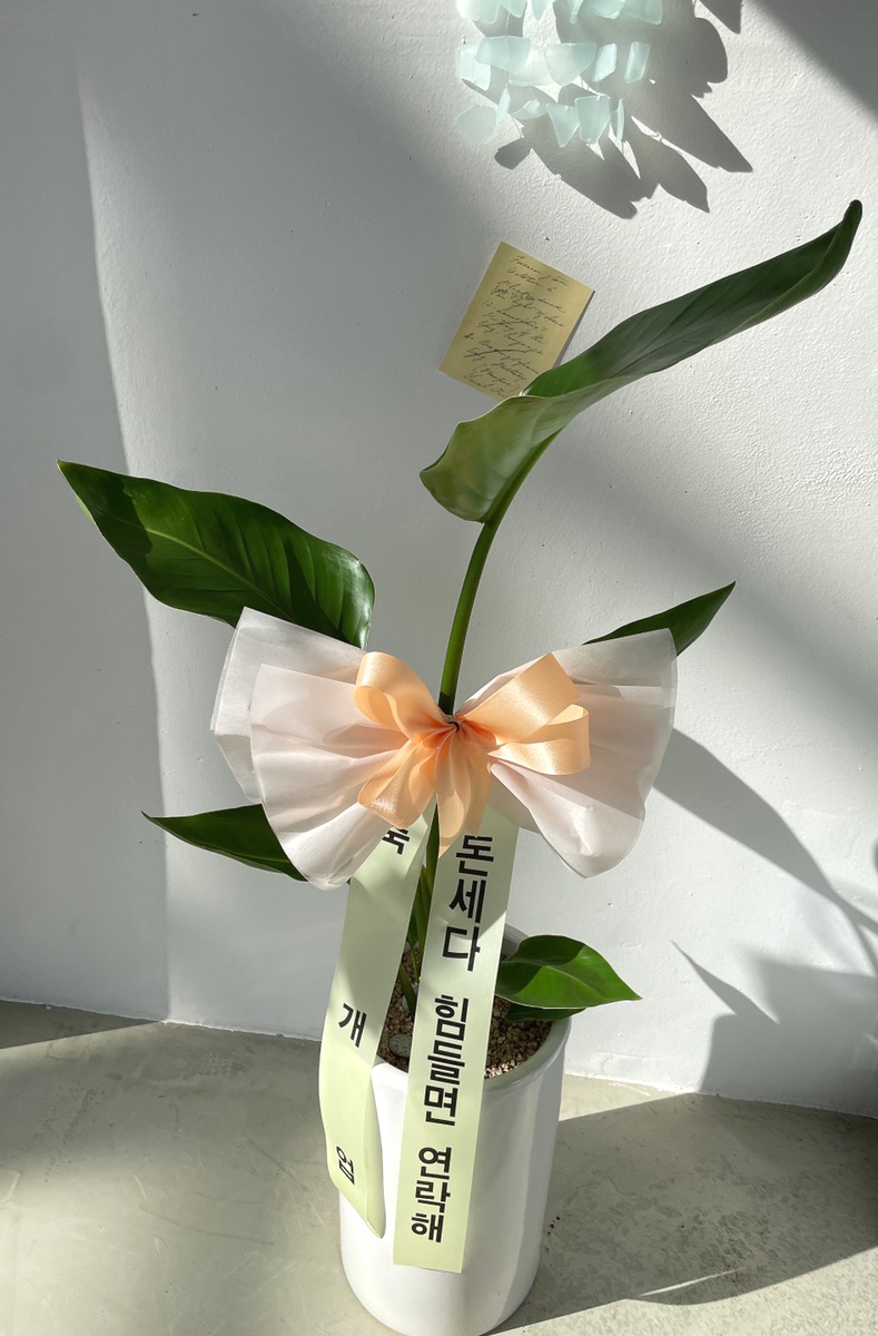 네일플레리 이미지