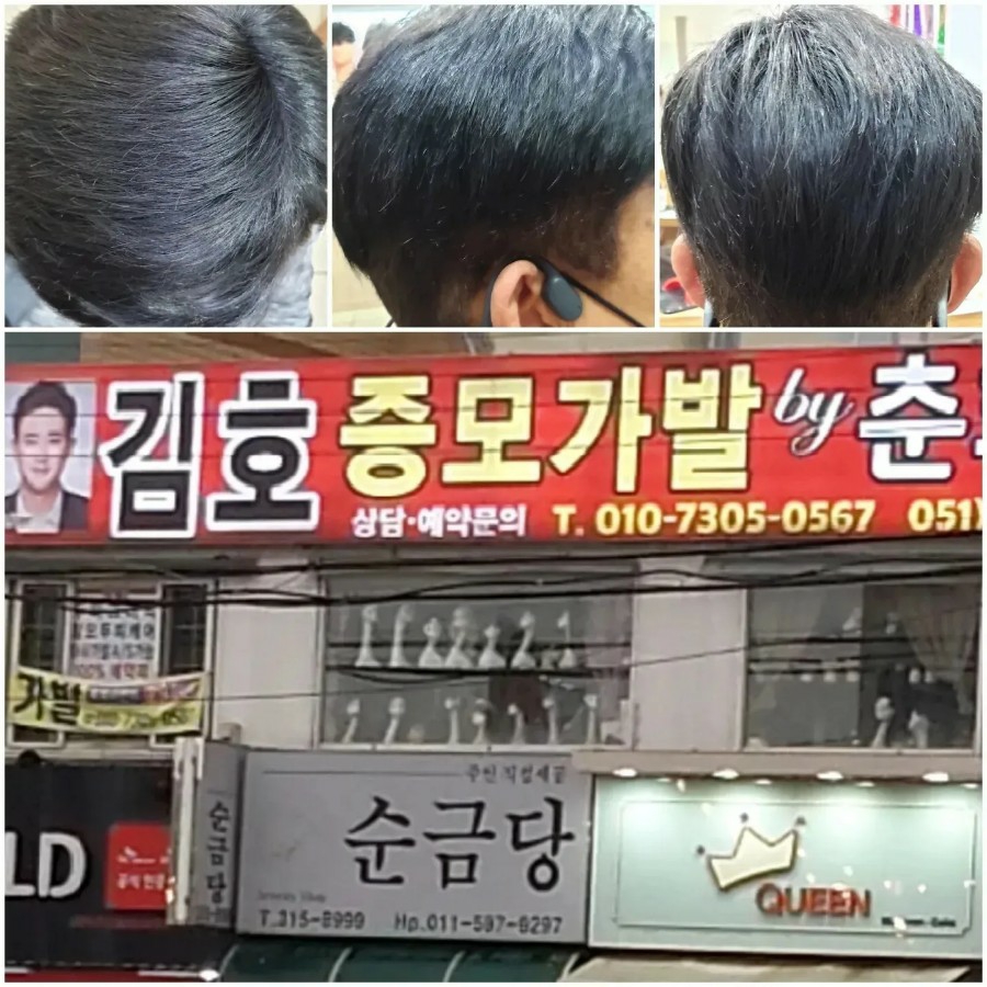 소나무화훼 이미지