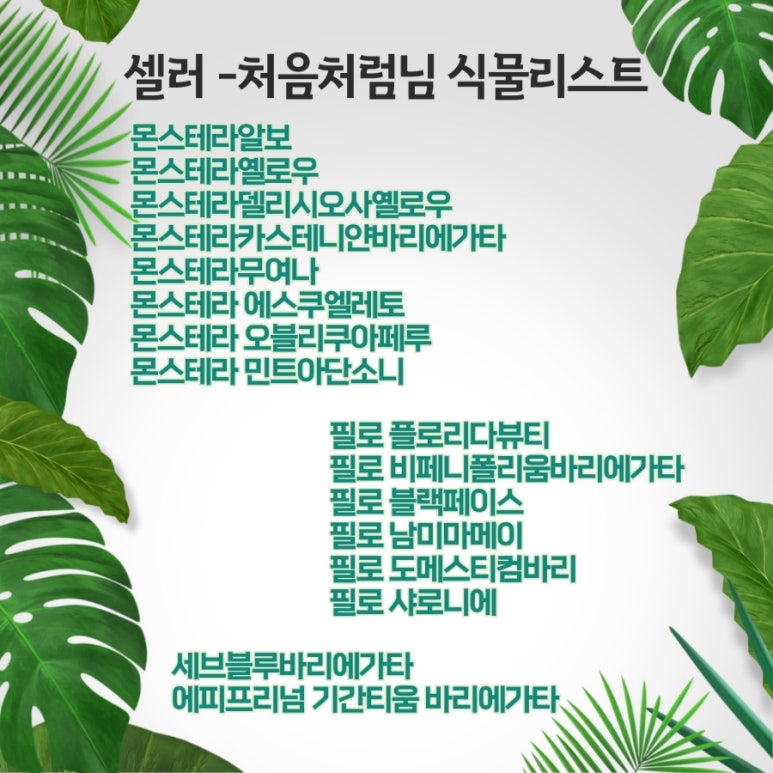 그린샵 이미지