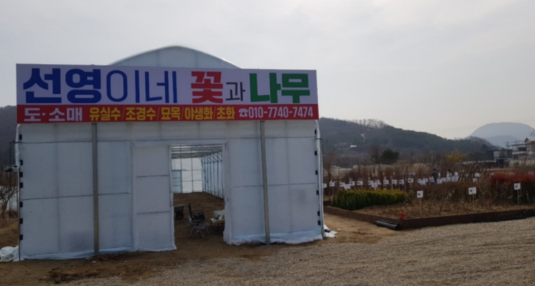 선영이네꽃과나무 이미지