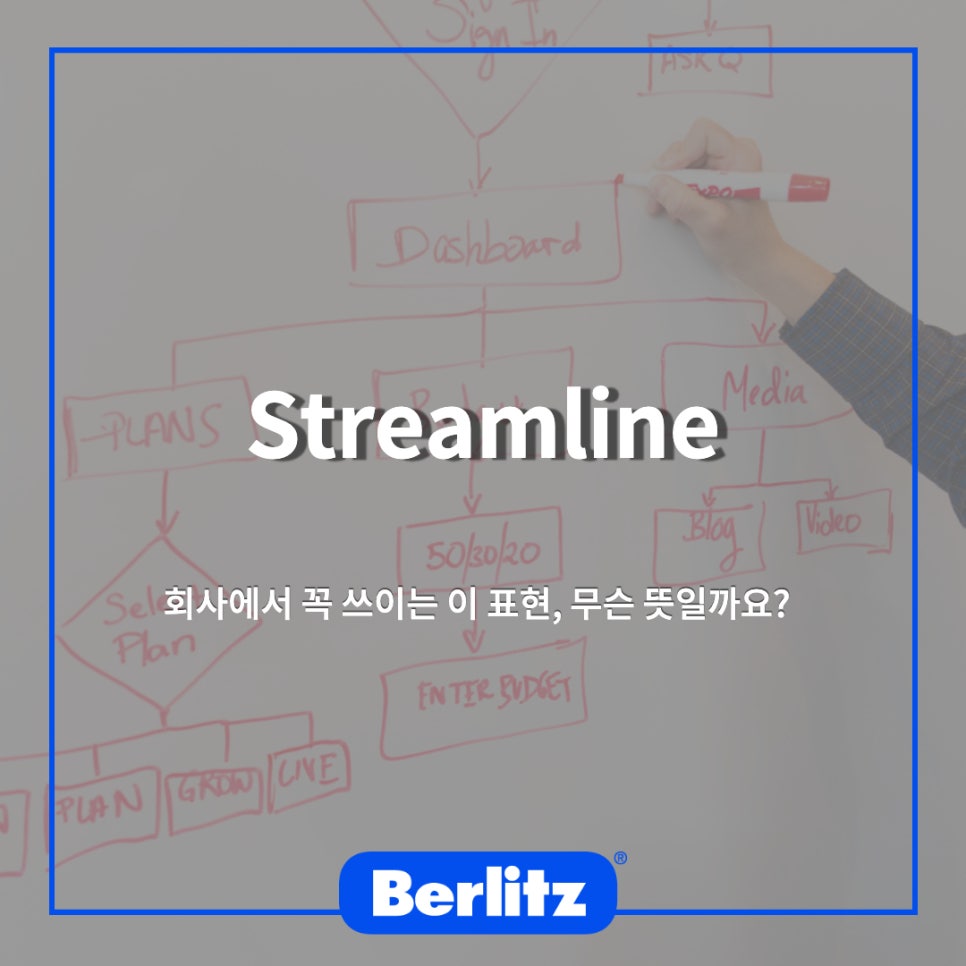 벌리츠코리아(주) 이미지