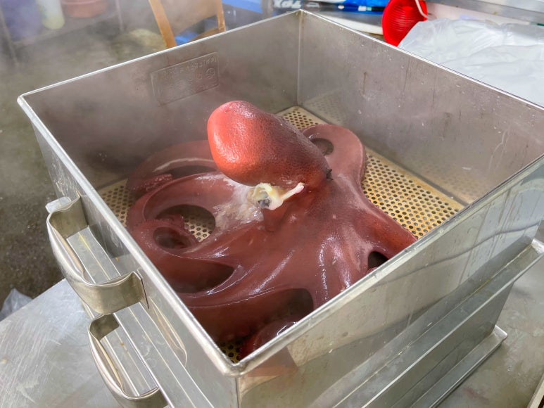 대신회식당 이미지