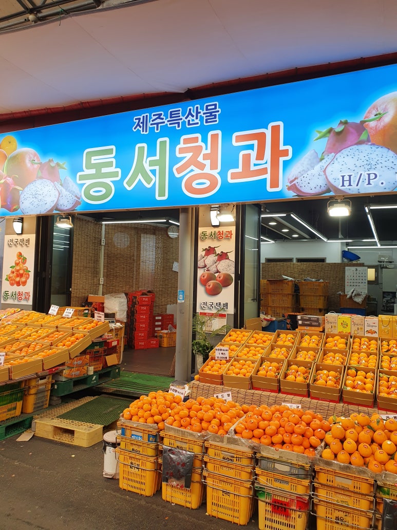동서청과 이미지
