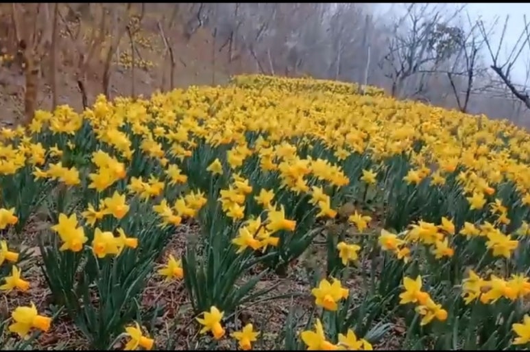 화순허브뜨락 이미지